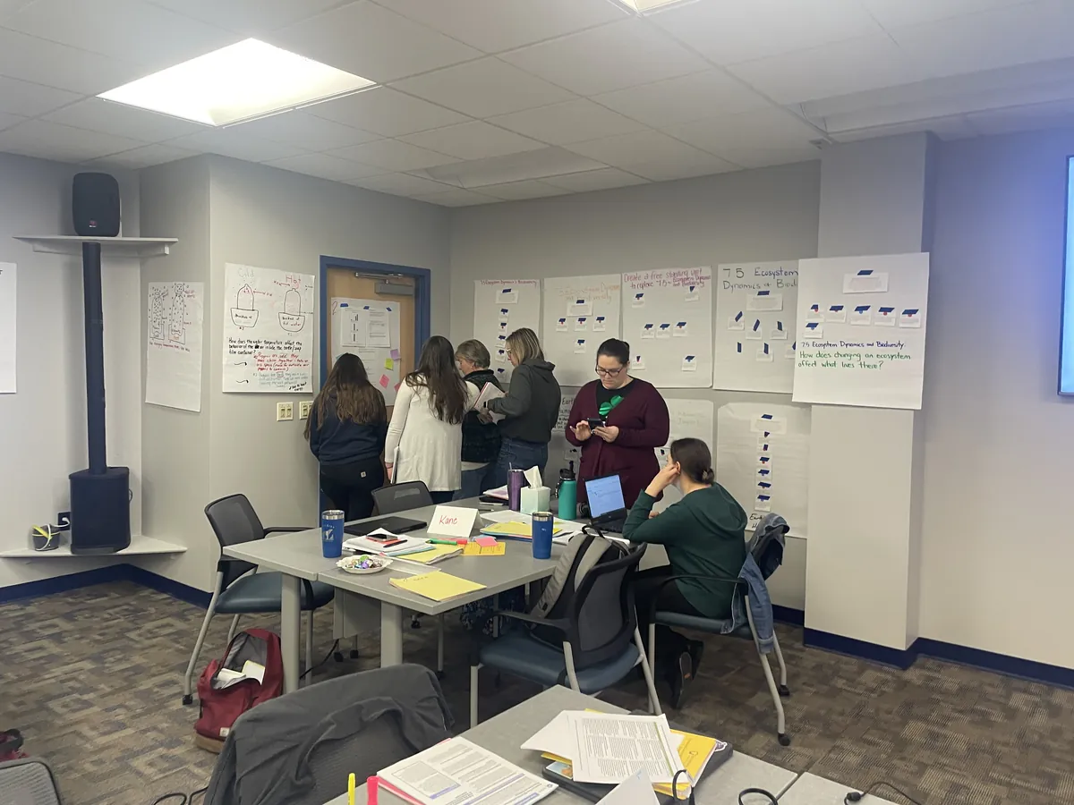 Teachers engaged in professional STEELS learning